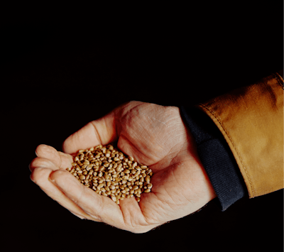 200102 Eaton Hemp 075 Fmt