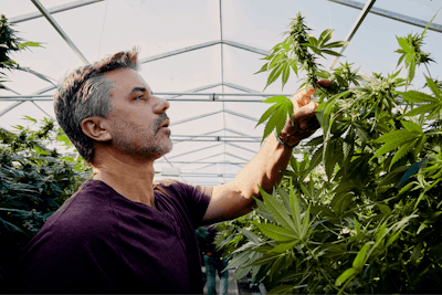 200102 Eaton Hemp 441 Fmt