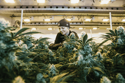 76 A4555 Edit Full Fmt