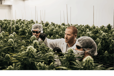 76 A5229 Edit Full Fmt