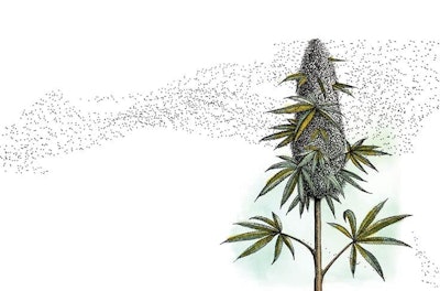 Cover2