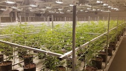 Fertigation
