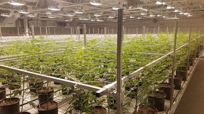 Fertigation