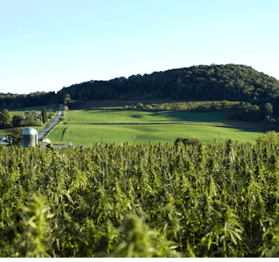 Jd By Jessica Barthel 2415 Fmt