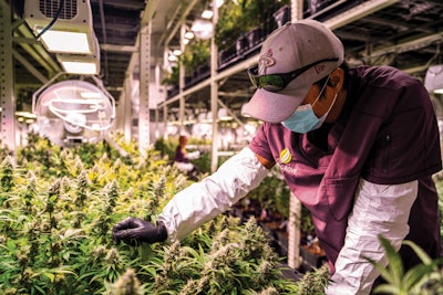Josh Zapata, Cultivation Assistant Fmt