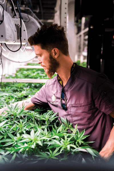 Mike Howard, Head Of Cultivation (1) Fmt