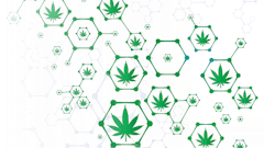Mj Cloning Fmt