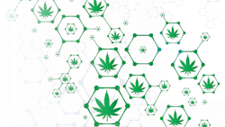 Mj Cloning Fmt