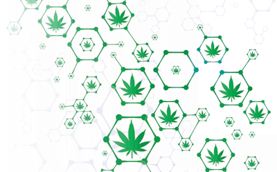 Mj Cloning Fmt