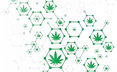 Mj Cloning Fmt