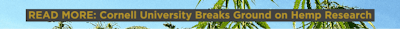 cornell hemp