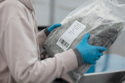 166 Flowr A31 A3168 Fmt