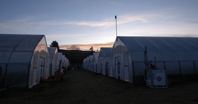 242 Flowr A31 A4098 Fmt