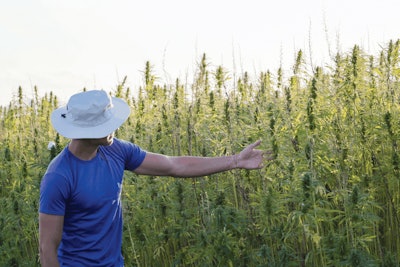 Adobe Stock 288776137 Fmt