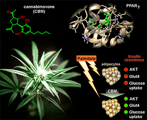 Cbm From Mdpi 300