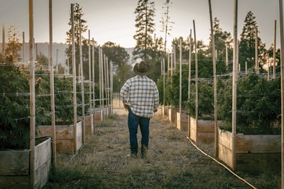 Jim Belushi 0023 Fmt