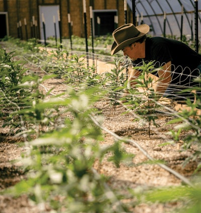 Jim Belushi 004b Fmt