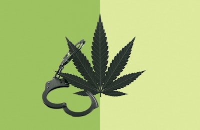 Marijuana Or Hemp Fmt