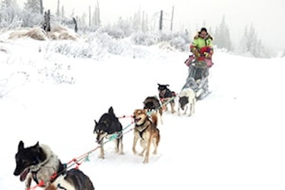 iditarod