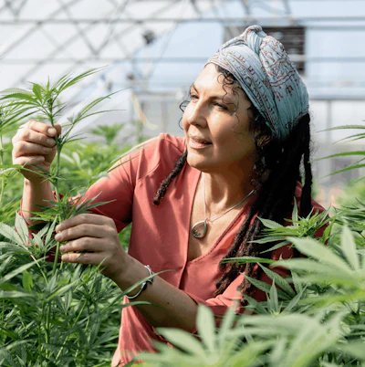 R Stumpf Hemp Grower Mag 0464 Fmt