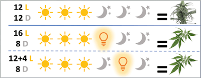 Diagram Fmt