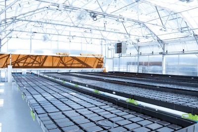 Hgc Greenhouse Bo Tbenches Fmt