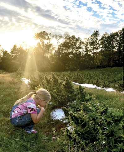 Justice For Hemp Cover Image Fmt