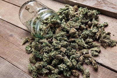 Marijuana Bud Spilling Outof Jar Adobe Stock Credit Aleksanderkamasi Resized