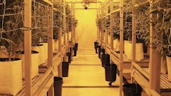 Med Pharm Grow2 Resized