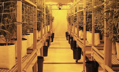 Med Pharm Grow2 Resized