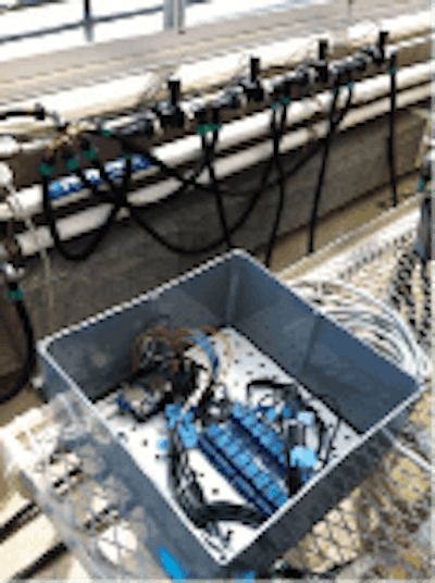 Photo Courtesy Of Rob Eddy Fmt