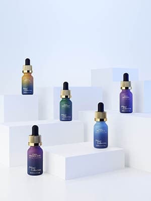 Rise The Feel Collection Resized