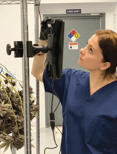 Scanning Plant Tag Uploading And Harvest Weight To Microsoft Azure Via Stashstock Fmt