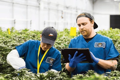 Acan And Bask (7 Of 48) Fmt