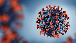 Adobe Stock 330524737 Fmt