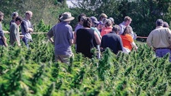Hempminefielddaysresized