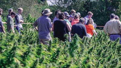 Hempminefielddaysresized