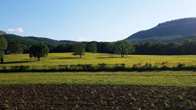 Nebo