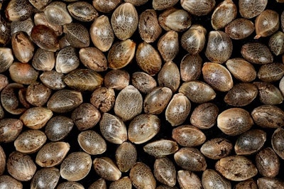 Seeds