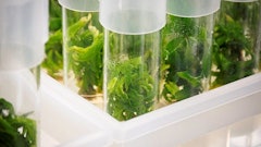 052019 Lab Frb8430 Resized