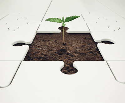 Adobe Stock 139018825 Fmt