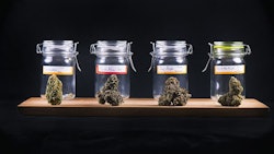 Cannabis Jars Adobe Stock Credit Roxxyphotos Resized