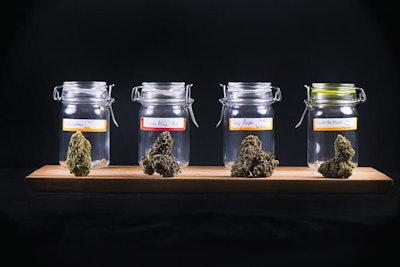 Cannabis Jars Adobe Stock Credit Roxxyphotos Resized