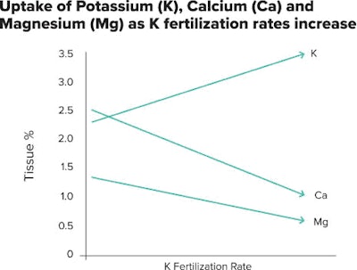 Fertilization Rates Fmt
