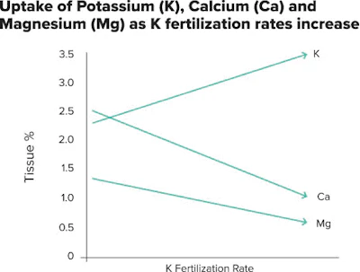 Fertilization Rates Fmt
