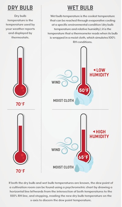 Guest Column Main Fmt