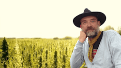 Henry Background Titelbild