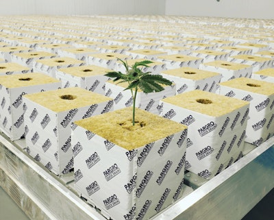 Img 20200516 114159 004 Fmt