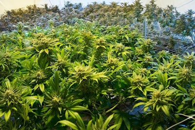 Indoor2