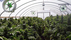 Indoor3